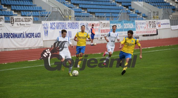 Stoican îl laudă pe gorjeanul Dragu: Are calități cu nemiluita