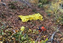 FOTO: A murit strivit de un lemn