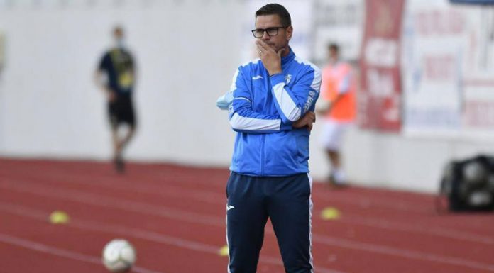 Stoican nu crede în plecarea lui Petrescu