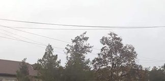 Angajații Direcției Publice au primit salariile mai devreme