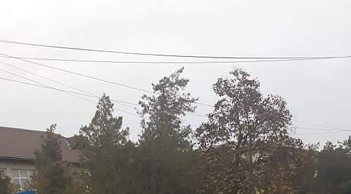 Angajații Direcției Publice au primit salariile mai devreme