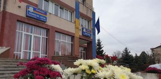 Sute de crizanteme, plantate în Motru