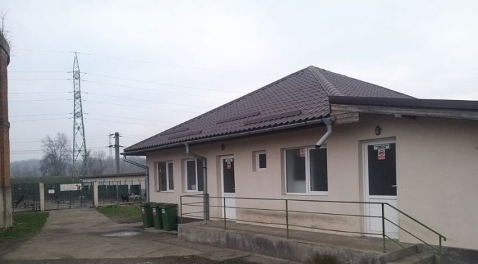 Campanie împotriva câinilor fără stăpân la Motru