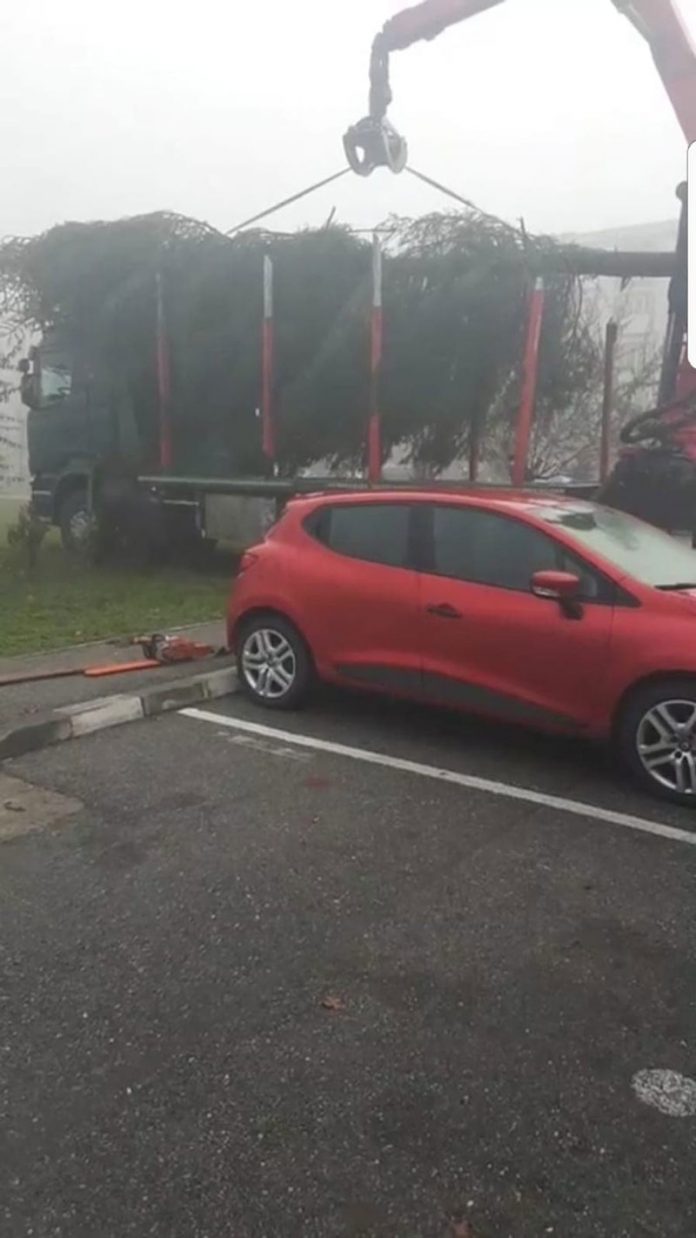 127182795_155748959577134_5038093776427875375_n