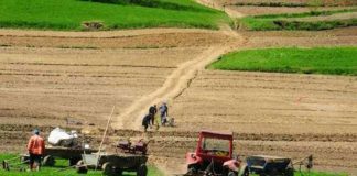 Agricultura pe înțelesul tuturor – Graficul lucrărilor agricole în luna noiembrie