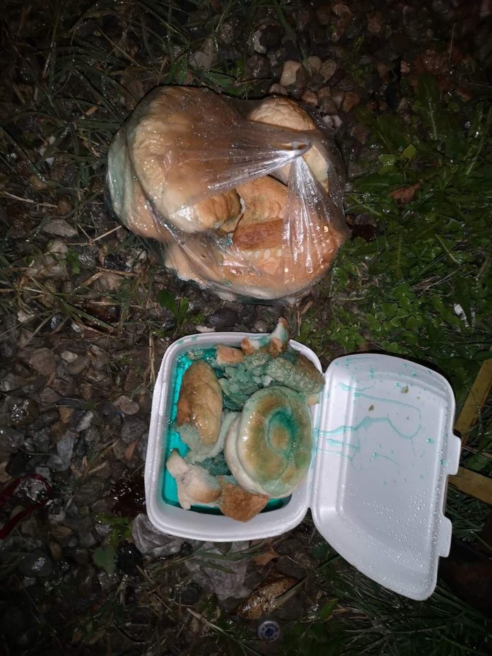 FB_IMG_1604390217497