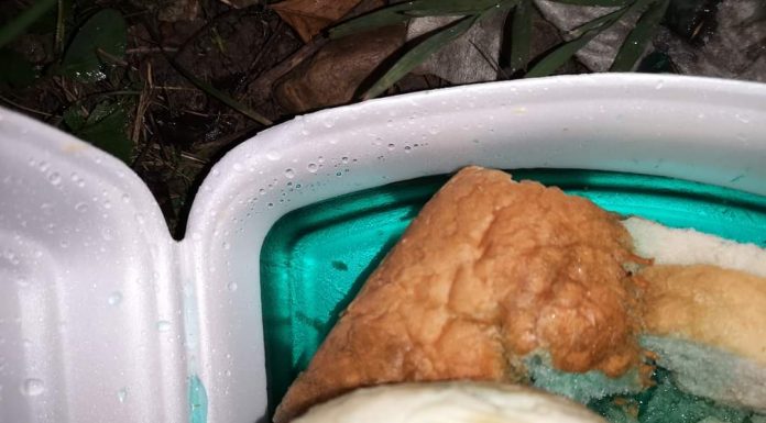 Video: A lăsat mâncare cu antigel pentru a ucide câinii din Bilteni