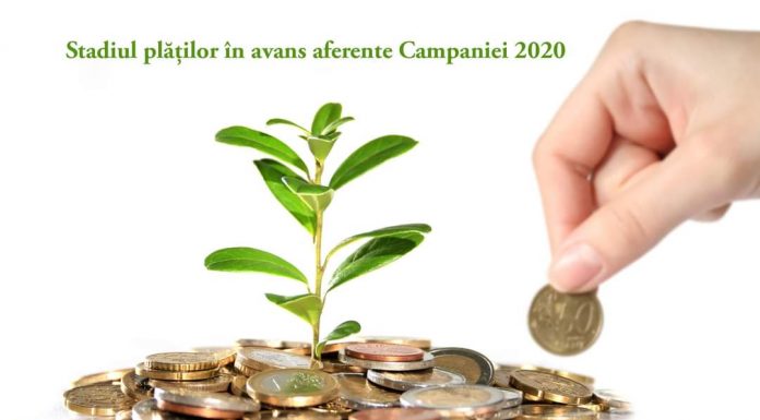 APIA: Stadiul plăților în avans aferente Campaniei 2020