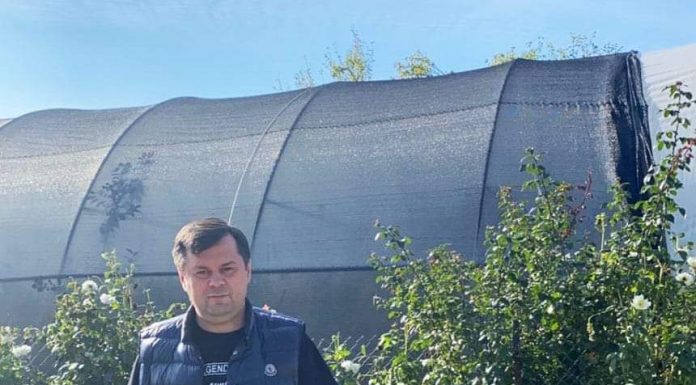 Romanescu susține organizarea piețelor volante