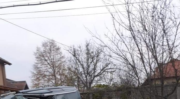 FOTO: S-a răsturnat cu mașina, după ce a lovit un cal, două persoane, la spital