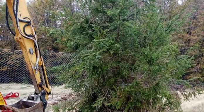 Control al Gărzii de Mediu, la Novaci! O obște, vizată!