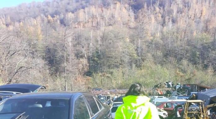 Amendă de 15.000 lei pentru un parc de dezmembrări auto din Novaci