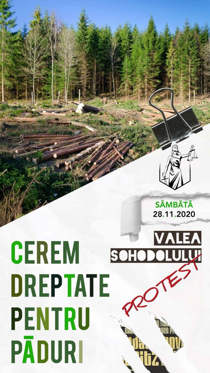 FB_IMG_1606407853958