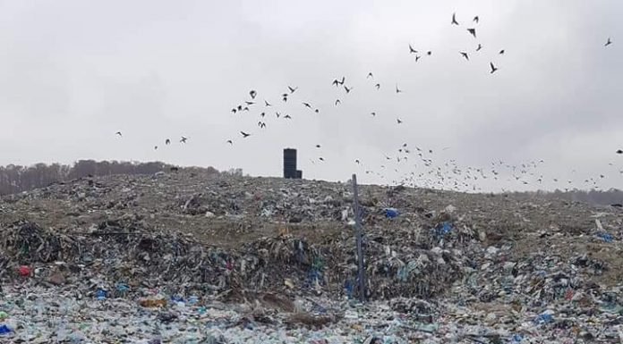 Sancțiune record la depozitul de deșeuri din Târgu Jiu