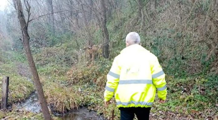 Poluare cu țiței la Jupânești! Amendă de 100.000 de lei