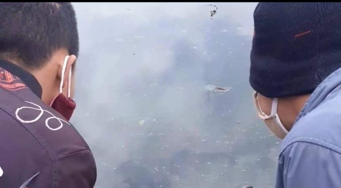 Vietnamezi pasionați de melcii din Jiu