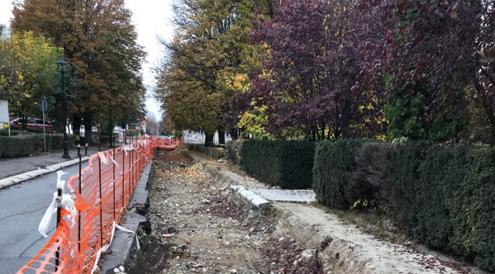 Romanescu, felicitat de italienii care au făcut groapa de pe Calea Eroilor!