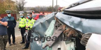 La spital, după ce au lovit un cal cu mașina!