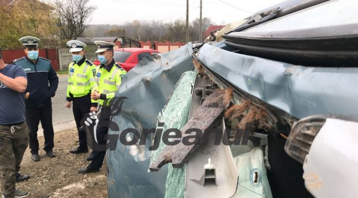 La spital, după ce au lovit un cal cu mașina!