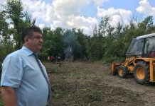Fostul primar de Jupânești a rămas fără 5 hectare de pădure acordate în fals! Procurorii, pe fir