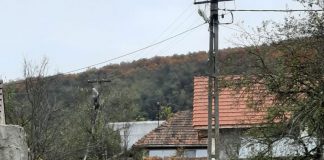 Salariatul de la apă face pe electricianul! Primarul își pune în pericol propriul cumnat