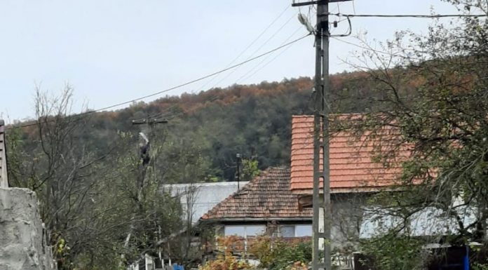 Salariatul de la apă face pe electricianul! Primarul își pune în pericol propriul cumnat