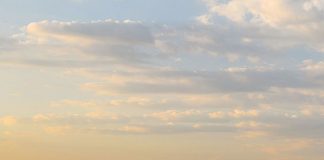 Mall-ul din Târgu-Jiu lansează campania „Natura unui MULȚUMESC”!