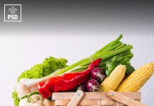 PROGRAMUL DE GUVERNARE PSD PENTRU AGRICULTURĂ