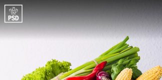 PROGRAMUL DE GUVERNARE PSD PENTRU AGRICULTURĂ