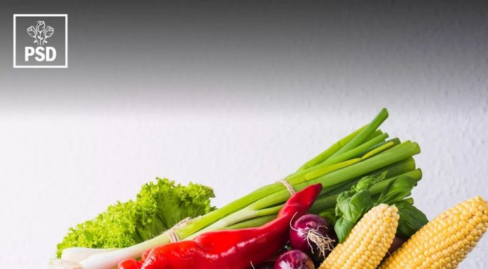 PROGRAMUL DE GUVERNARE PSD PENTRU AGRICULTURĂ