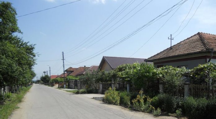 Restricții în comuna Bălești. Decizie pentru Turburea