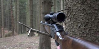 Dosar penal pentru doi gorjeni, acuzați de braconaj cinegetic