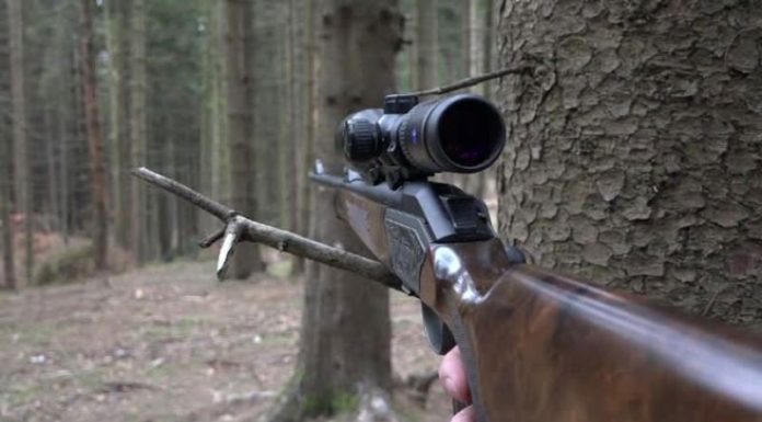 Dosar penal pentru doi gorjeni, acuzați de braconaj cinegetic