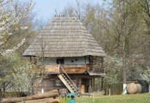 Mediul rural…pe coordonatele crizei demografice – Depopularea mediului rural din România, a satelor gorjene, în special, constituie o problemă care poate fi analizată după conţinut!