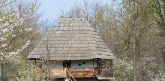 Mediul rural…pe coordonatele crizei demografice – Depopularea mediului rural din România, a satelor gorjene, în special, constituie o problemă care poate fi analizată după conţinut!