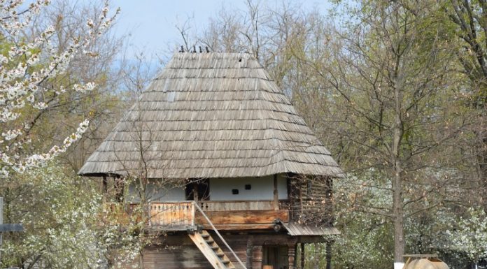 Mediul rural…pe coordonatele crizei demografice – Depopularea mediului rural din România, a satelor gorjene, în special, constituie o problemă care poate fi analizată după conţinut!