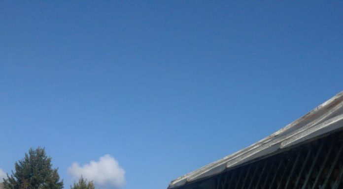 Noi amenzi pentru muncă la negru, în Gorj