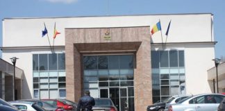 13 cu „noroc” pentru „Lotul Peștișani” din „Mafia Pădurilor”! Noi arestări la domiciliu!