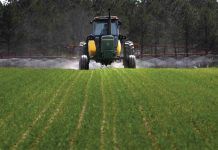 Agricultura pe înțelesul tuturor – Fertilizarea fazială a cerealelor păioase