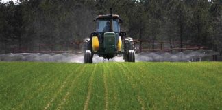 Agricultura pe înțelesul tuturor – Fertilizarea fazială a cerealelor păioase
