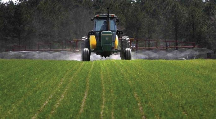 Agricultura pe înțelesul tuturor – Fertilizarea fazială a cerealelor păioase