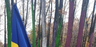 VIDEO: Ziua Națională a României, marcată în avans de preșcolarii grupei mari ai Grădiniței Nr. 31 Târgu-Jiu