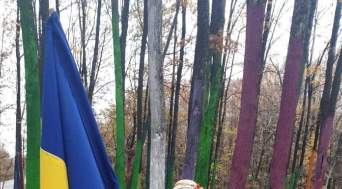 VIDEO: Ziua Națională a României, marcată în avans de preșcolarii grupei mari ai Grădiniței Nr. 31 Târgu-Jiu