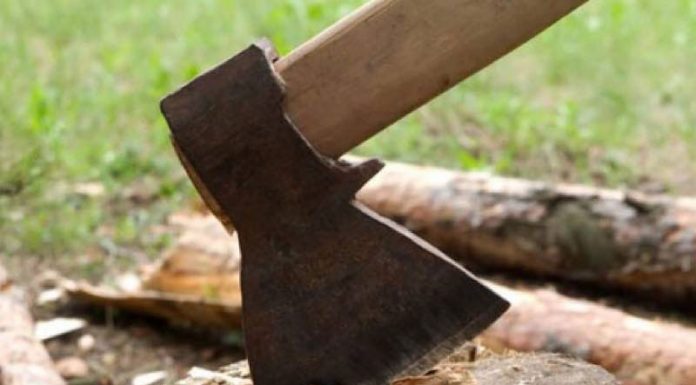 Bărbat prins de polițiști, în timp ce tăia lemne din pădurea socrului. DECIZIA oamenilor legii!