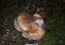 A vrut să otrăvească, cu mâncare îmbibată în antigel, câinii din Bîlteni