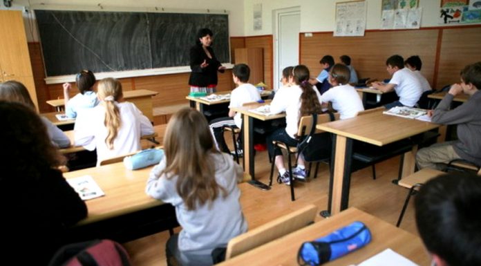 Se caută mentori pentru elevi