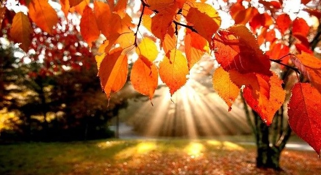 Mesajul verii către toamnă