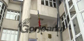 Anchetă extinsă în dosarul „Mafiei Pădurilor”