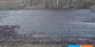 „Depozitul ecologic” al Avicola, de la Dănești, stârnește mari nemulțumiri