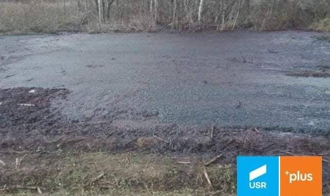 „Depozitul ecologic” al Avicola, de la Dănești, stârnește mari nemulțumiri